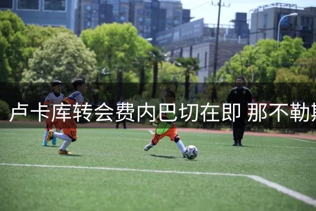 卢卡库转会费内巴切在即 那不勒斯坚持千万欧元报价